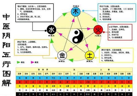 金木水|怎样理解五行理论中的“金生水”？